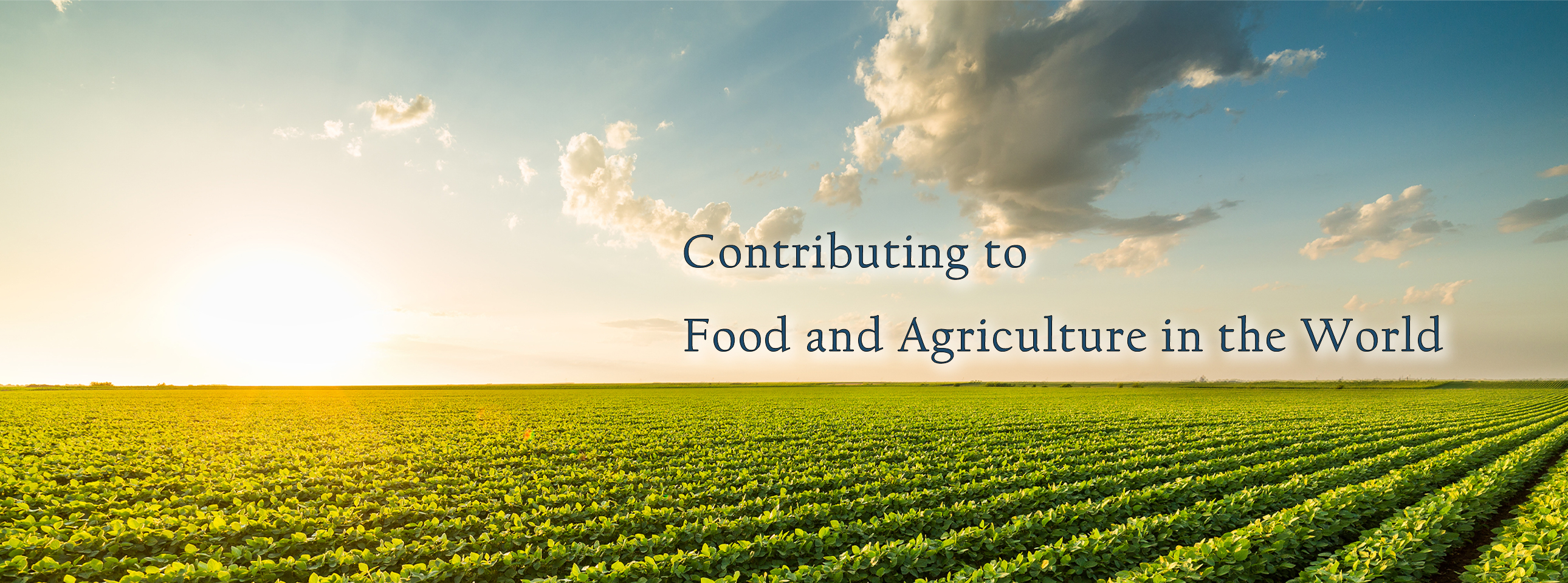Contributing to Food and Agriculture in the World