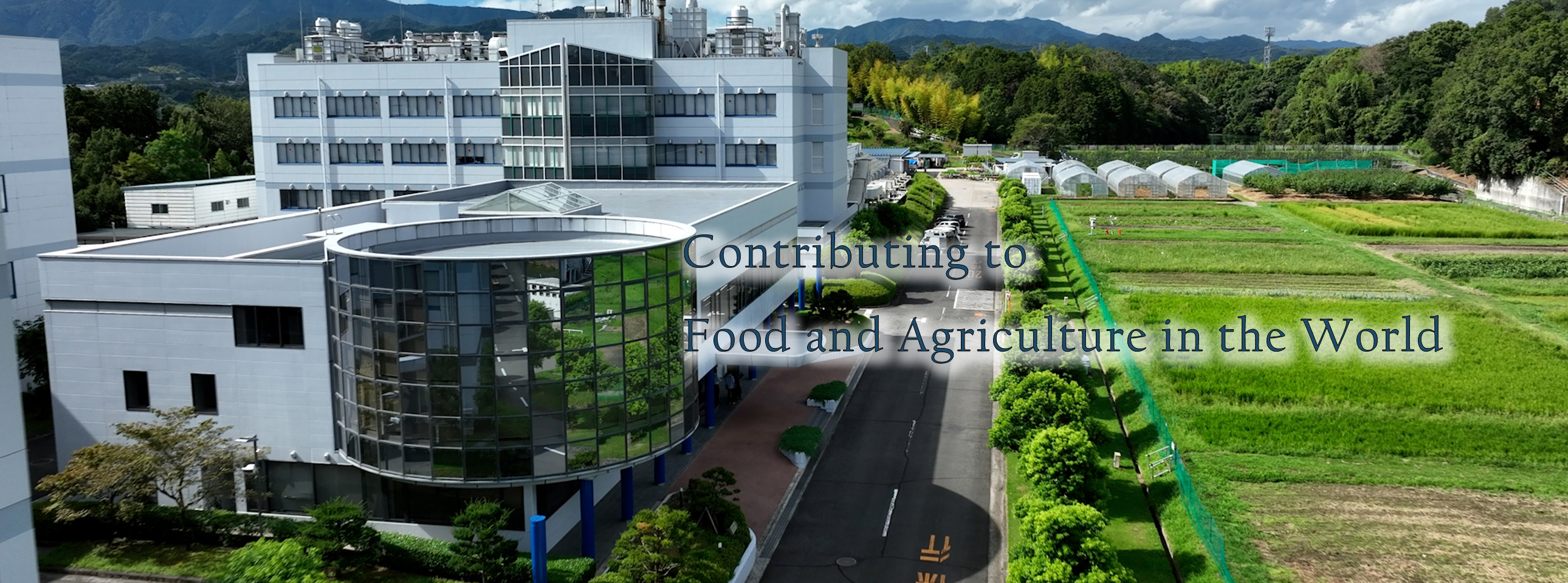 Contributing to Food and Agriculture in the World