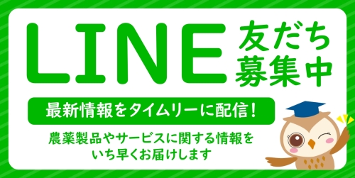 役立つ最新情報を定期的に配信