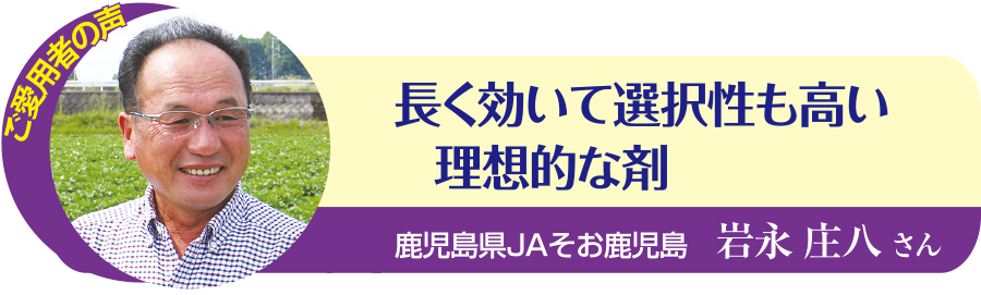 フェニックスご愛用者様の声