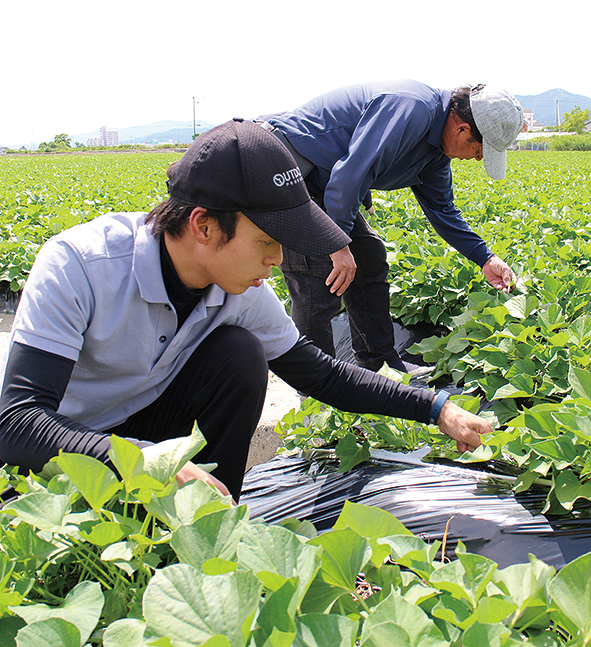 「ブランド産地だからこそ品質には徹底してこだわる」と話す原田さん親子