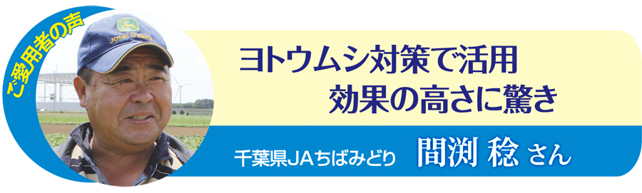 ご愛用者様の声