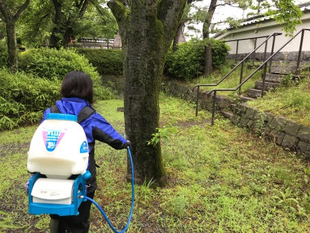 薬剤散布の様子