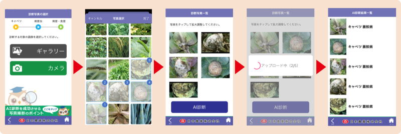 AI技術活用による画像診断サービス画像