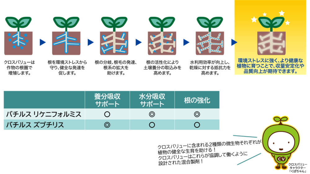 クロスバリュー_作用メカニズム