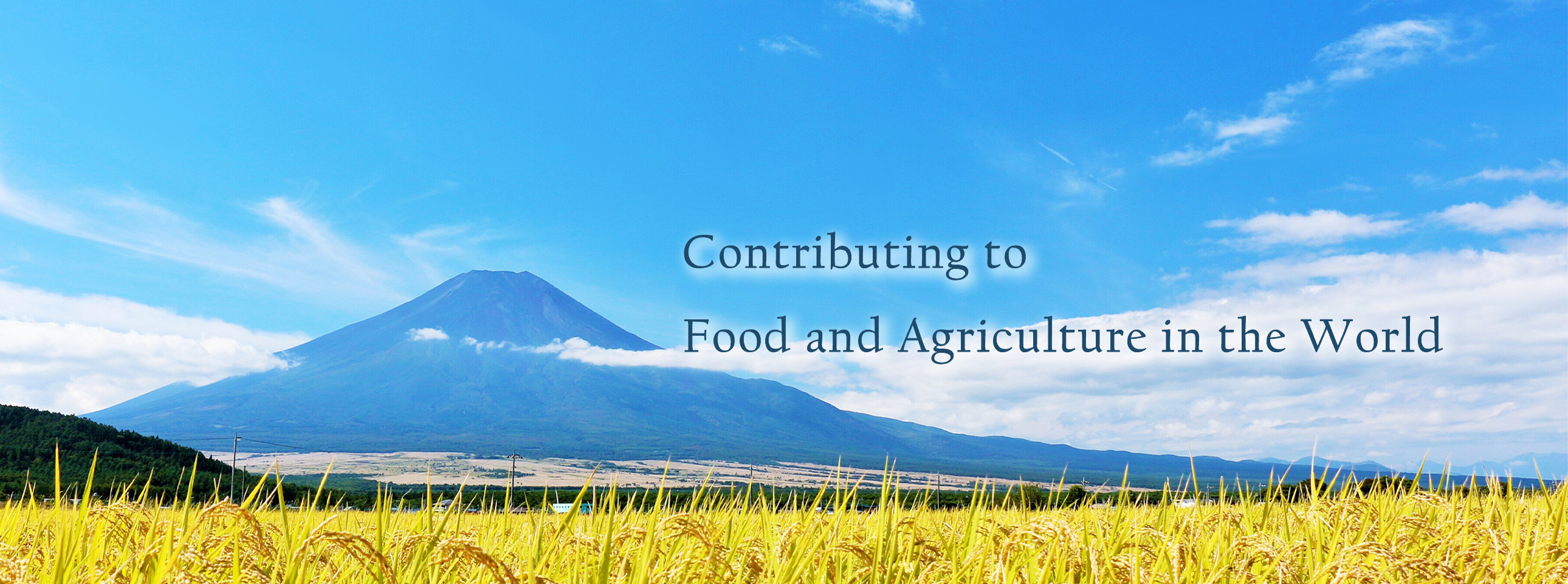 Contributing to Food and Agriculture in the World