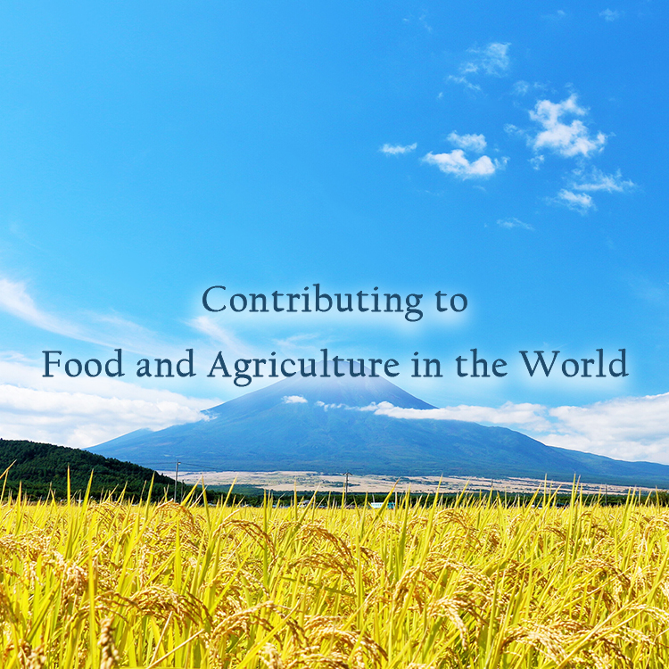 Contributing to Food and Agriculture in the World