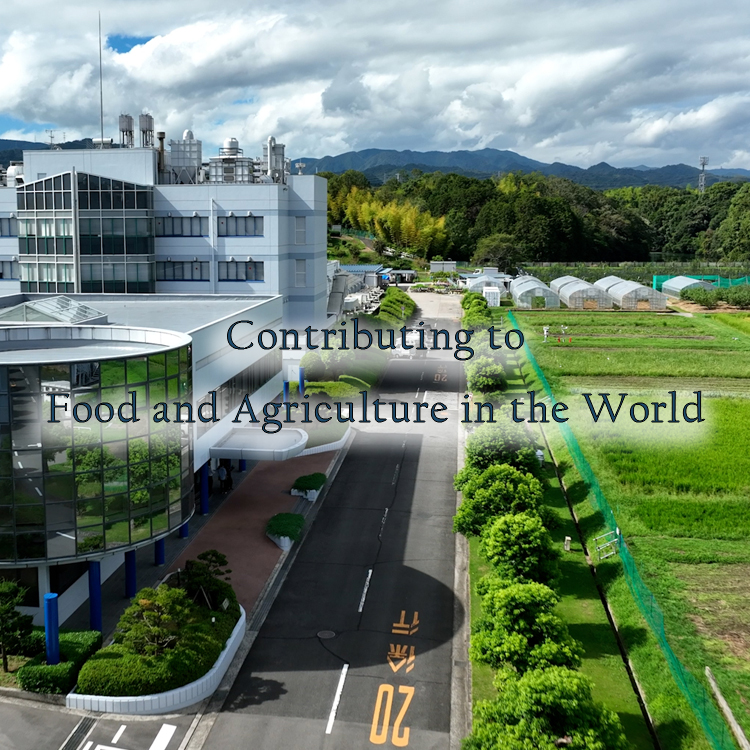 Contributing to Food and Agriculture in the World