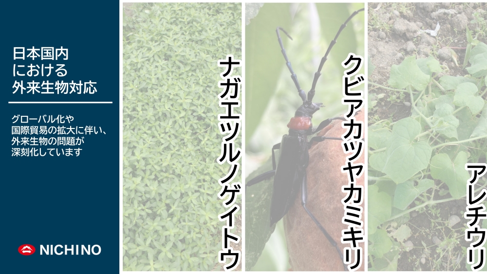 日本国内における外来生物対応トップバナー