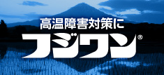 フジワン