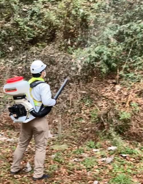 Image:Satochi-Satoyama (Socio-ecological Production Landscape) Revitalization Project