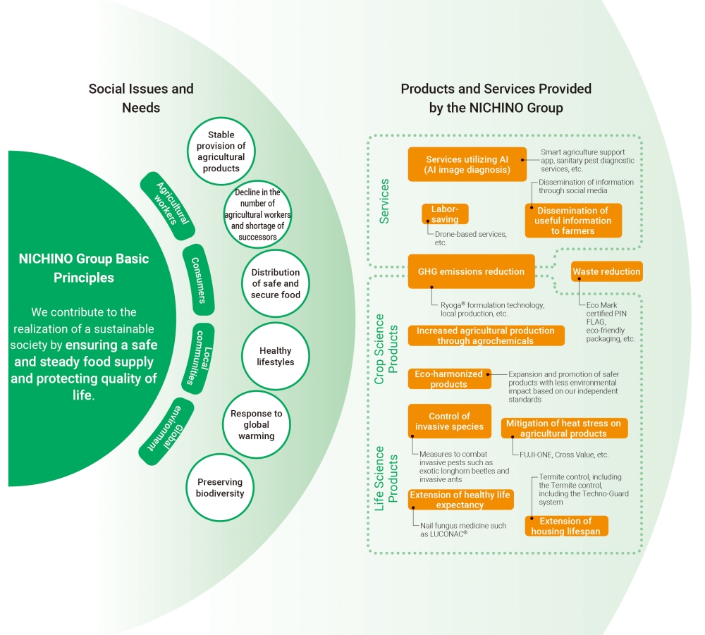 Social Issues and Our Solutions
