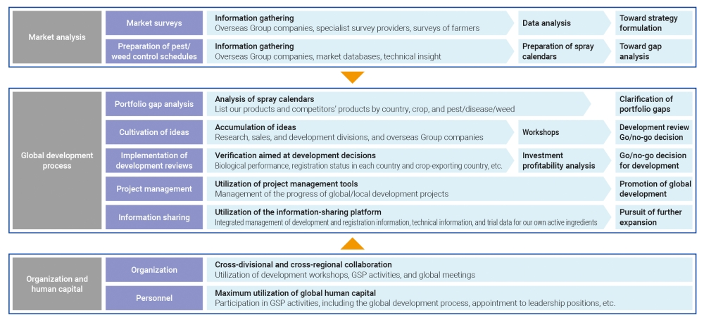 Promoting a Market-driven Perspective and Global Development