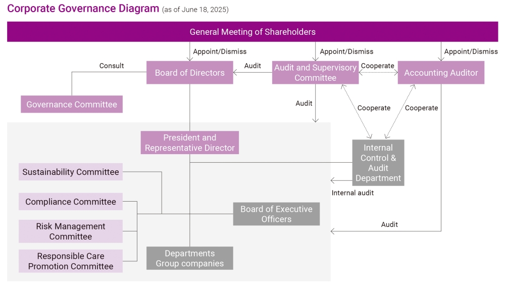 Corporate Governmance Diagram