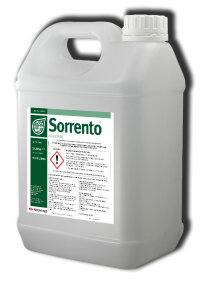 ​Sorrento