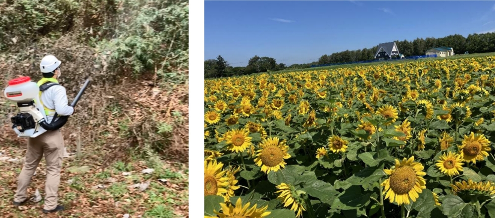 Satochi-Satoyama Revitalization Project by Industry,Bee Friendship Plan