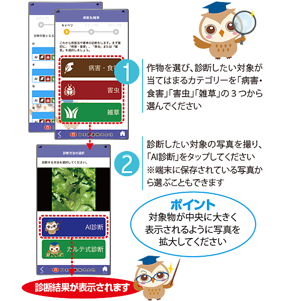 スマートフォン用アプリ レイミーのａｉ病害虫雑草診断