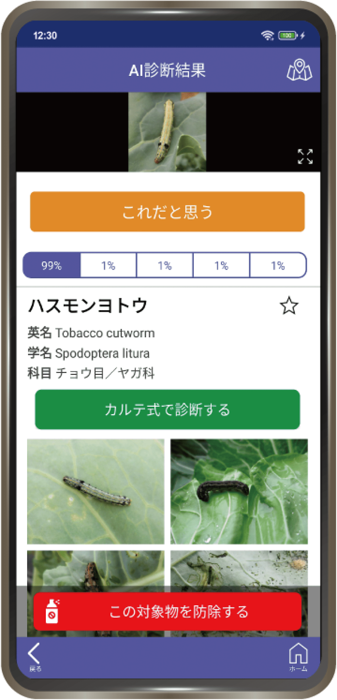 AI診断画面