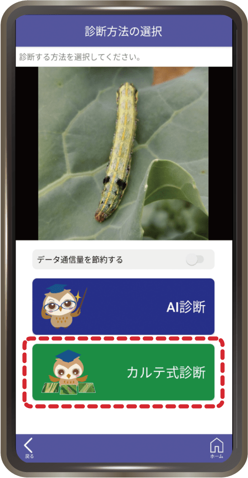 カルテ式診断1