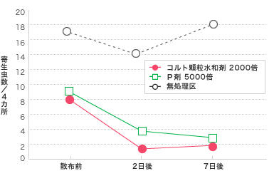 茶 チャノキイロアザミウマ試験成績表