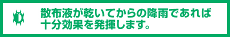 散布液が乾いてからの降雨であれば十分効果を発揮します。