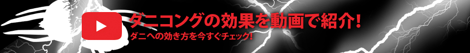 ダニコングの注目効果を動画で紹介！
