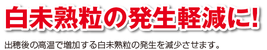 白未熟粒の発生軽減に！