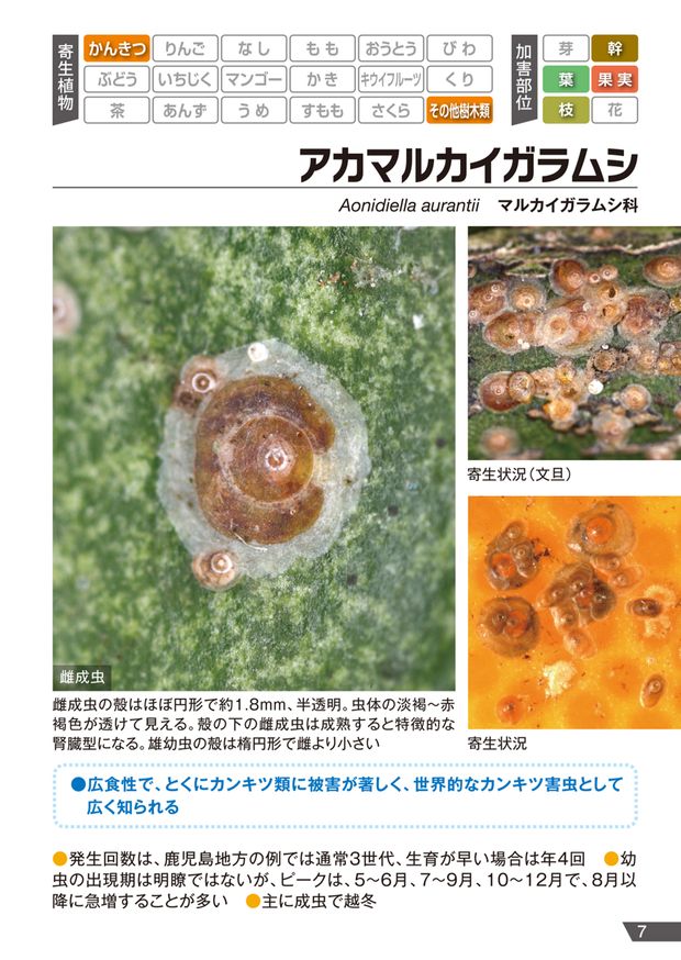 アプロードフロアブル カイガラムシポケット図鑑