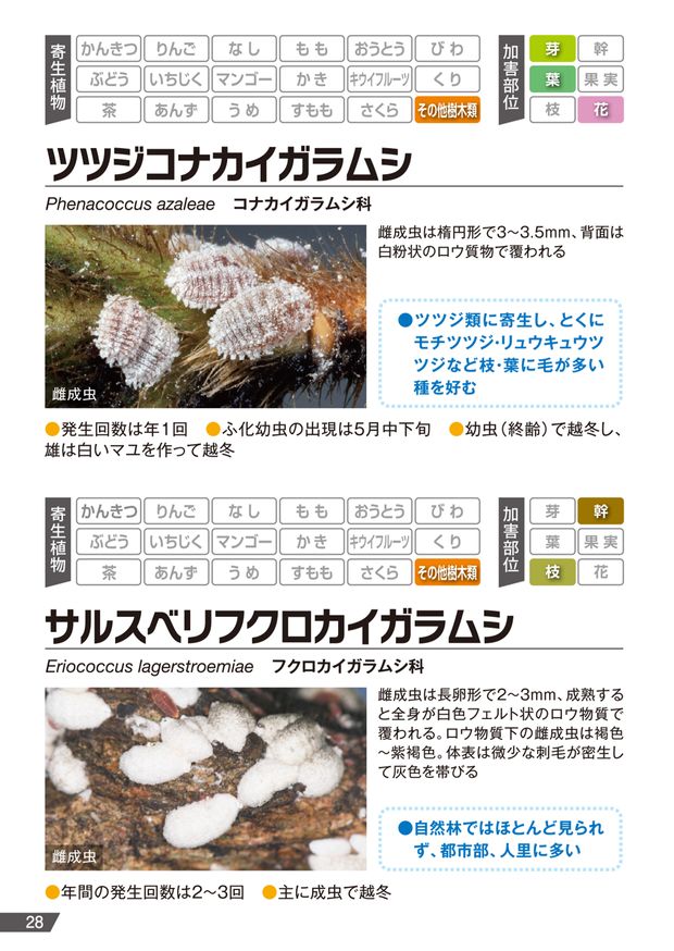 アプロードフロアブル カイガラムシポケット図鑑 アプロードフロアブル カイガラムシポケット図鑑
