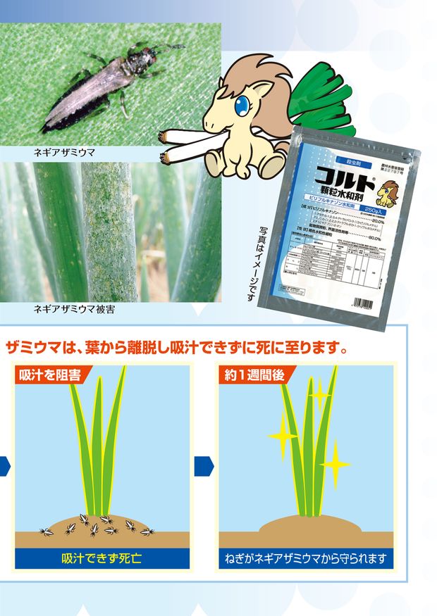 コルト顆粒水和剤 ねぎポケット害虫図鑑