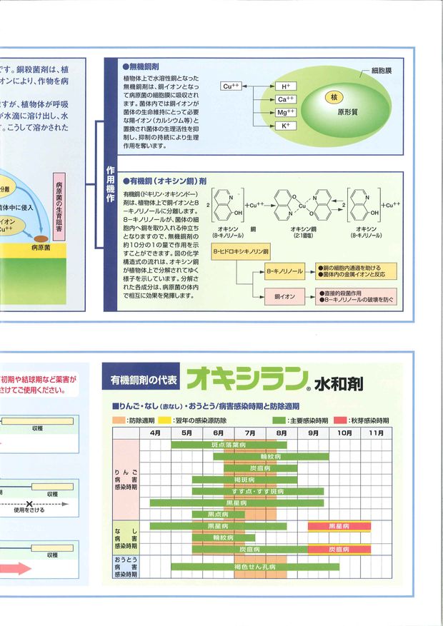 銅殺菌剤解説 技術資料