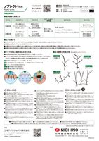 ブレクト・ウォリス