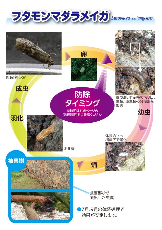 フェニックスフロアブル 枝幹害虫対策ガイドブック