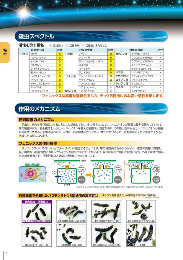 フェニックス（総合版）技術資料