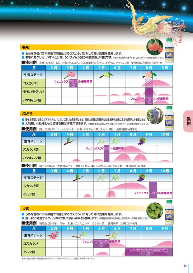 フェニックス（総合版）技術資料