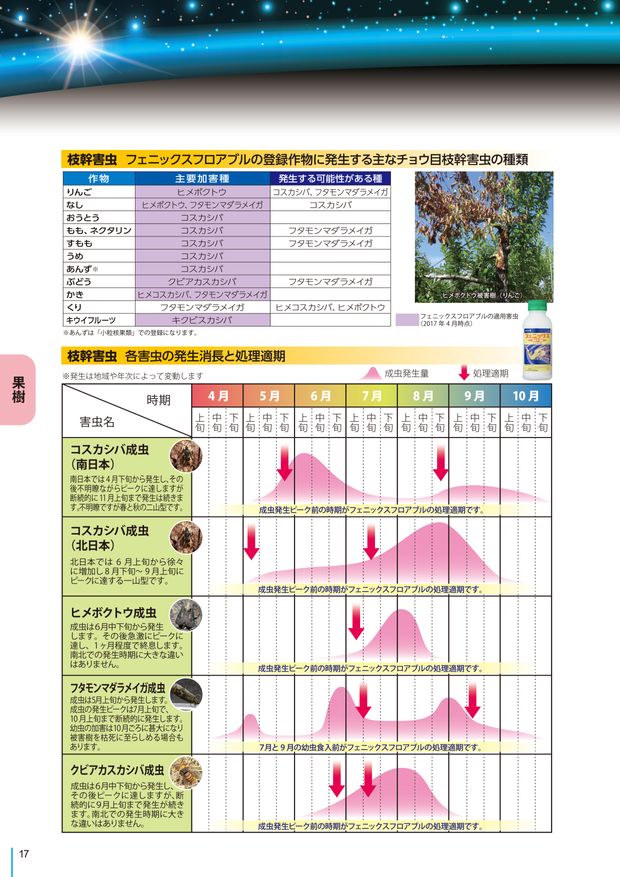 2025年最新】フェニックスパワー研究所の人気アイテム - メルカリ