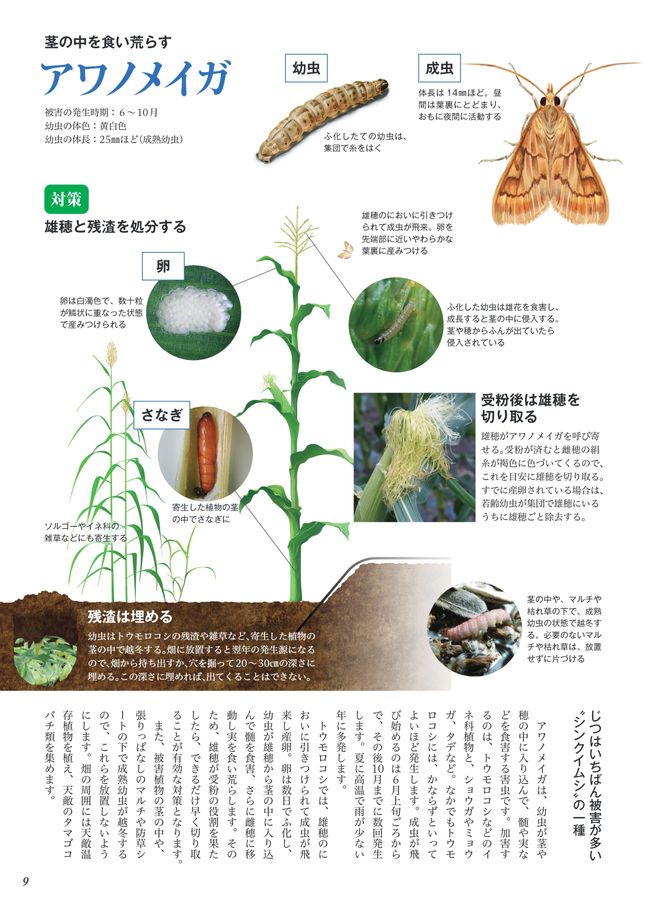 やさいページ 絵本【へんなやさいしりーず】5冊セット | 農家応援サイト