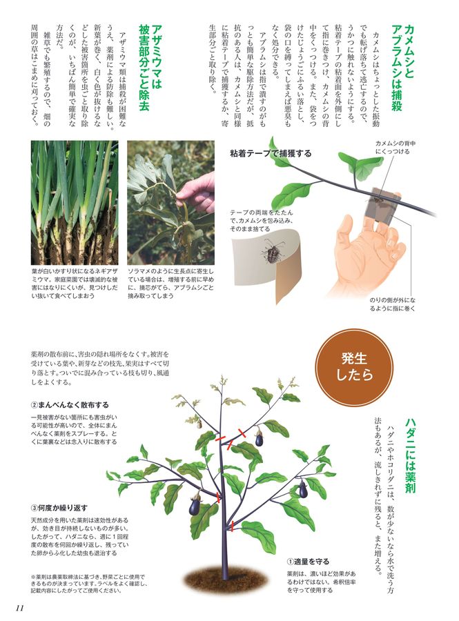 やさい畑 vol-2.5 倒せ！野菜をかじる虫・吸う虫<増訂版>