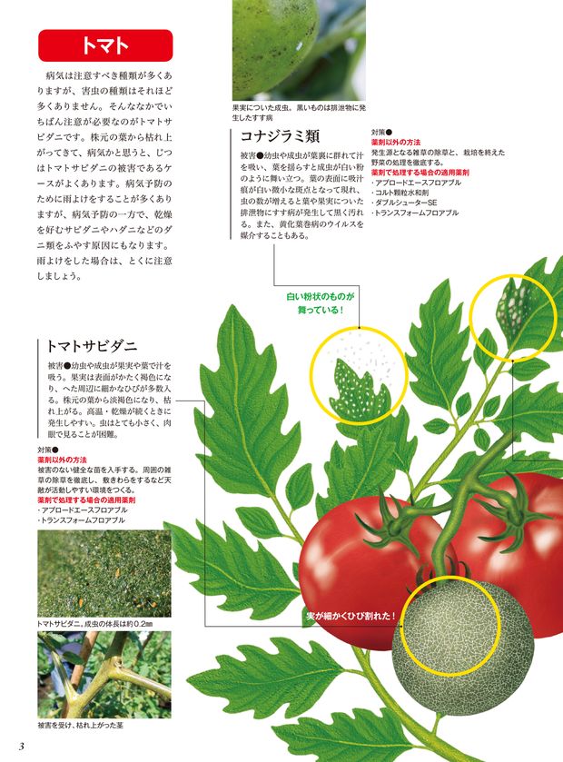 やさい畑 vol-3.0 野菜別害虫攻略法
