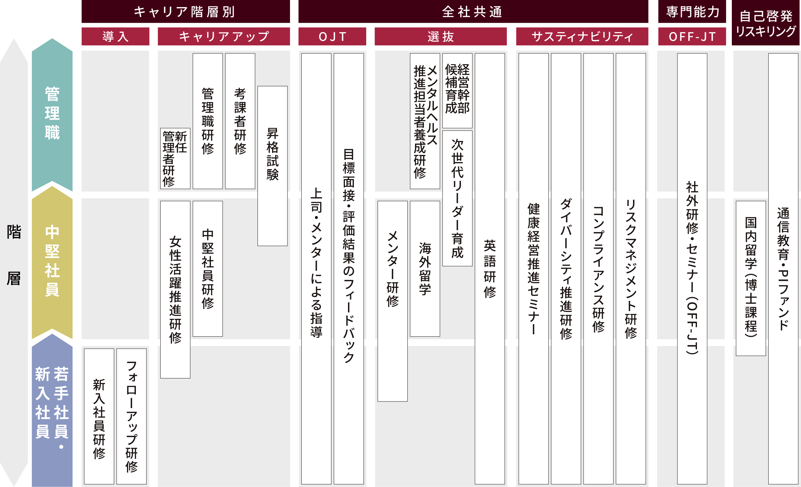 能力開発体系
