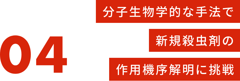 分子生物学的な手法で世界初の作用機序解明に挑戦