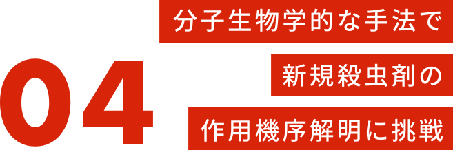 分子生物学的な手法で世界初の作用機序解明に挑戦